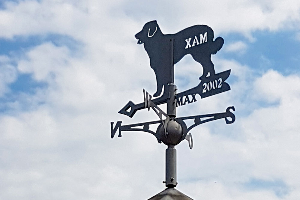 Wetterfahne Wetterfahne